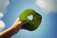 AdobeStock_32558688 Blatt mit Herz zum Himmel